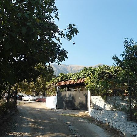 Eva Apartments Dhërmi Dış mekan fotoğraf